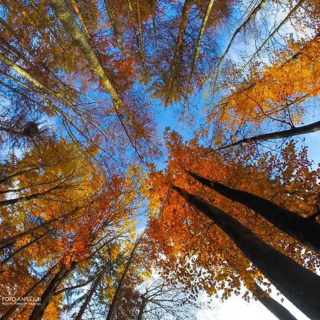 Ranch Marina Semesteranläggning (resort) 4*