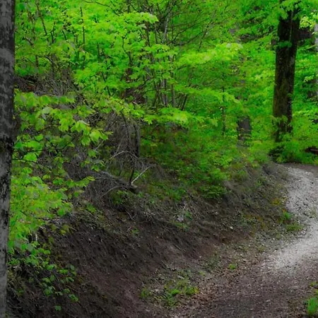 Ranch Marina Semesteranläggning (resort) Koce