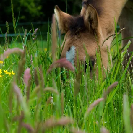 Ranch Marina Letovišče 4*