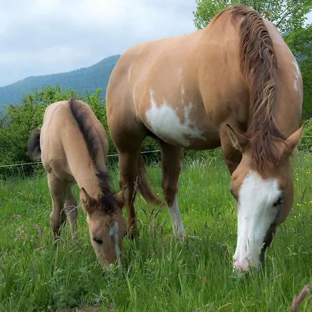 Ranch Marina Letovišče