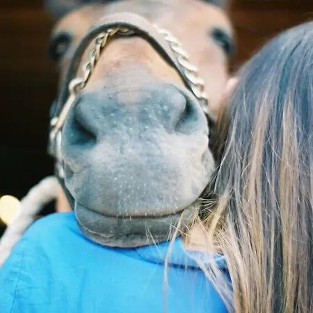 Ranch Marina 4* Koce