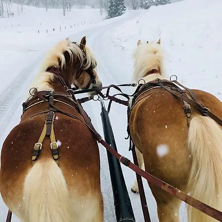 Ranch Marina Semesteranläggning (resort) Koce