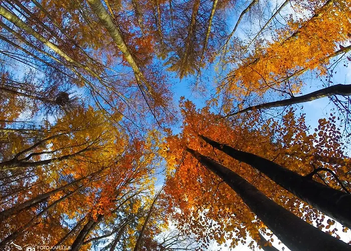 Ranch Marina منتجع 4*