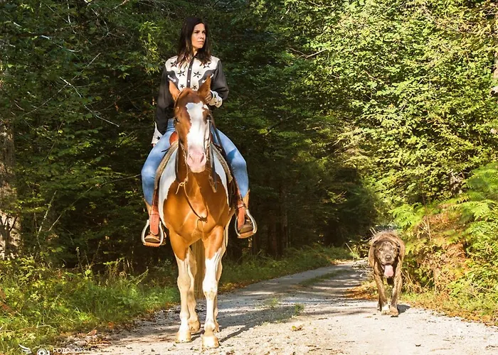 Ranch Marina 4* Koce