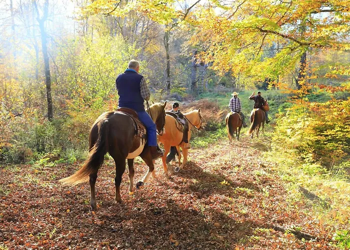 Ranch Marina منتجع 4*