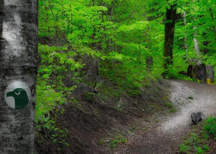 Ranch Marina منتجع Koce