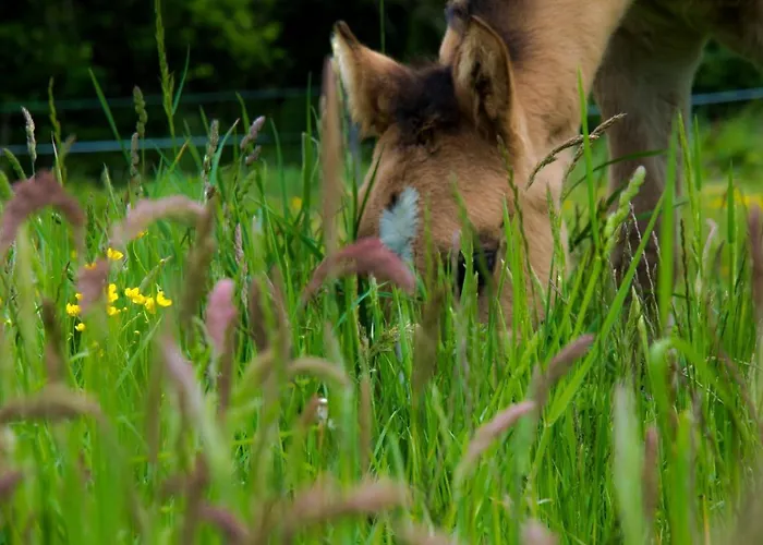 Ranch Marina Resort 4*