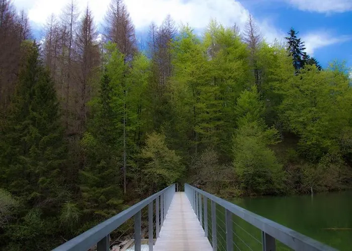 Ranch Marina منتجع