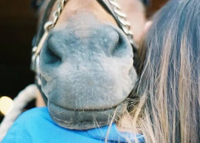 Ranch Marina 4* Koce