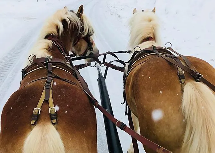 Ranch Marina منتجع Koce