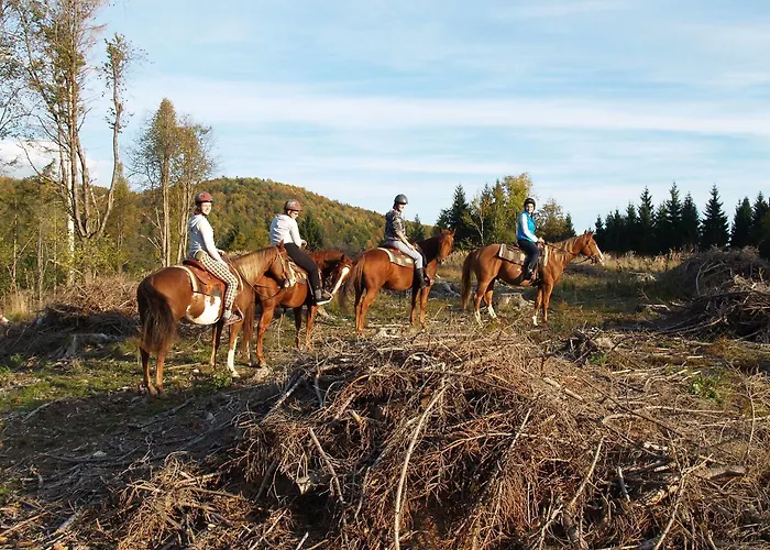 Ranch Marina منتجع Koce